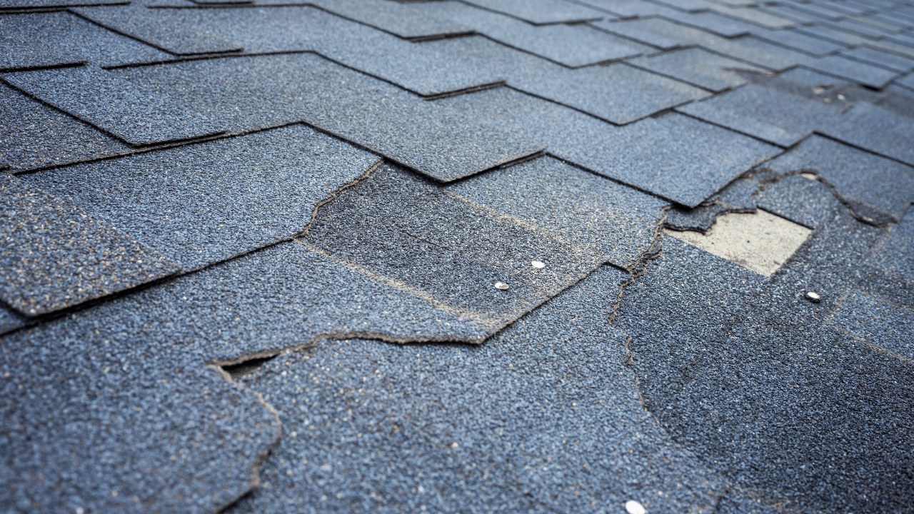Go Nano Silicon Valley Roof Protection Silicon Valley Roof Protection Affiliate Program 9 Redwood City Roof Repair