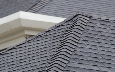 Go Nano Silicon Valley Roof Protection Blog Go Nano Silicon Valley 8 Understanding the Lifespan of Asphalt Shingles: Factors, Maintenance, and Longevity