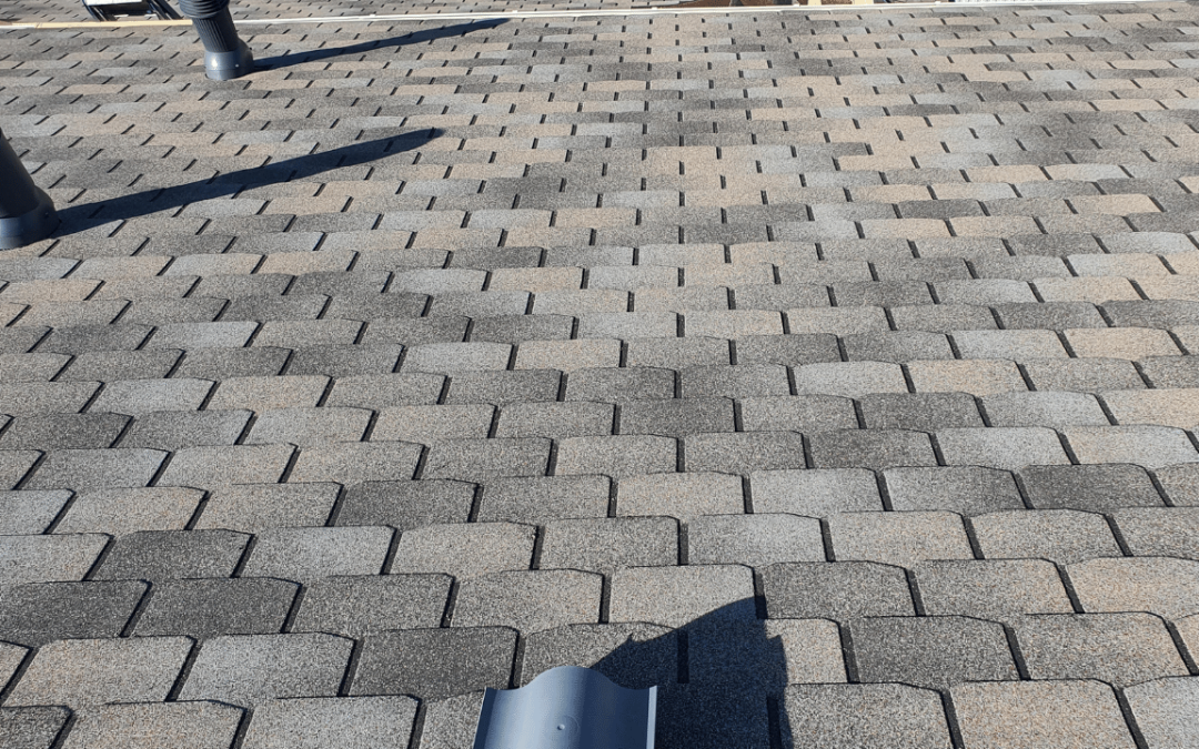 Bay Area Roof Repair